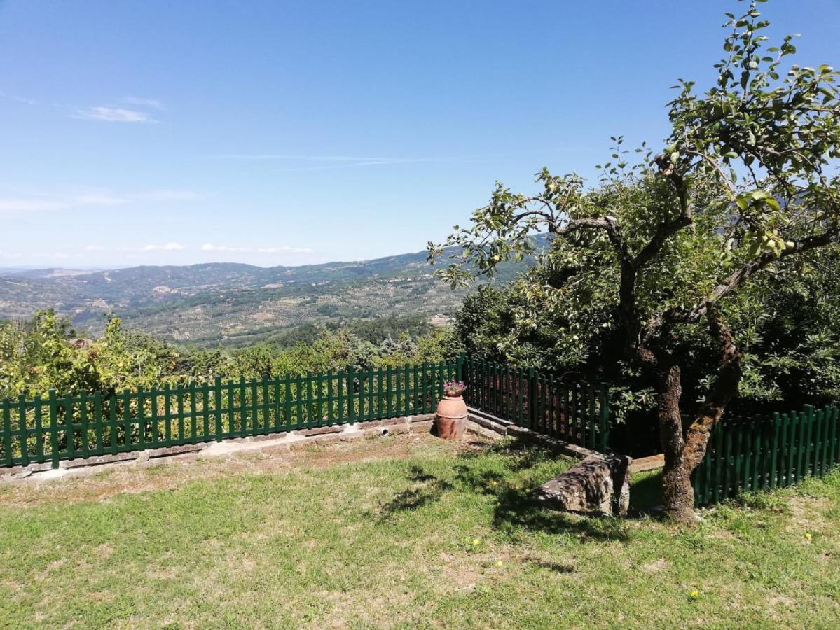 Villa Gioia Montelaterone Екстериор снимка